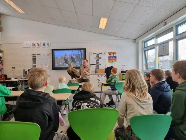 Gastles 🦅Vandaag kwam Ruben Meijer langs om een gastles te geven aan groep 3t/m8. De les ging over zeearenden en was super interessant. De kinderen waren er allemaal van onder de indruk. Het helpt natuurlijk ook mee als je een echte zeearend van zo dichtbij kan zien!Dus als de kinderen thuis plots met allemaal toffe feitjes over zeearenden komen dan weten jullie waarom 😉Bedankt @rubenfmeijer voor de toffe gastles!